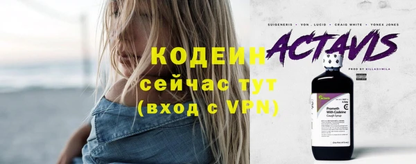 прущая мука Корсаков