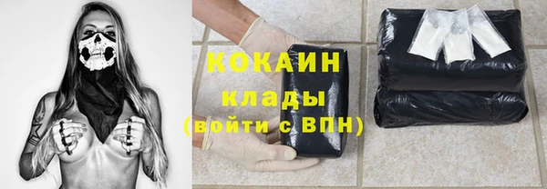 стаф Алзамай