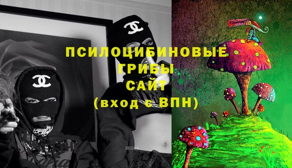 стаф Алзамай