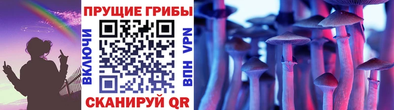 Псилоцибиновые грибы Psilocybine cubensis  Суджа 